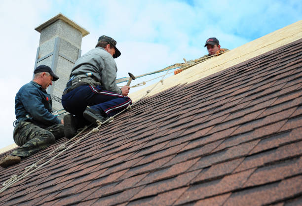 Best Roof Gutter Cleaning  in Cedar Ridge, CA